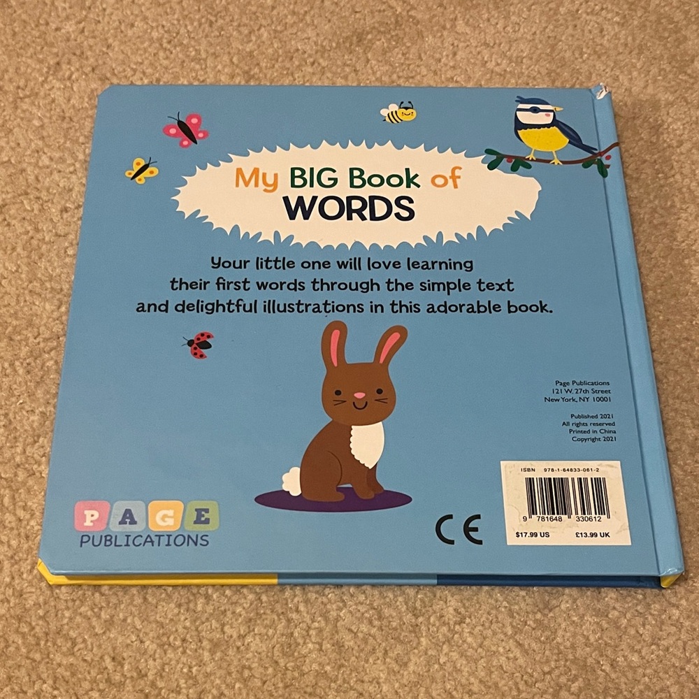 First Words Book - Picture 3 of 5